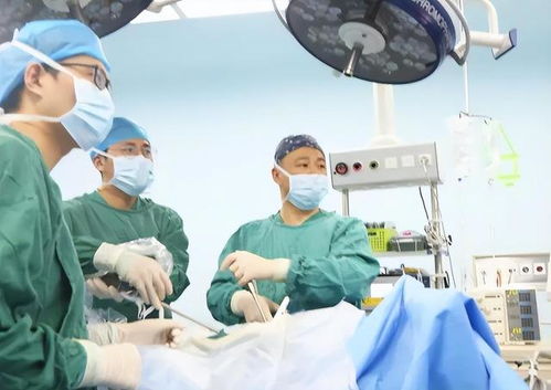 医学水平癌症(医学水平癌症是指什么) 医学水平癌症(医学水平癌症是指什么)