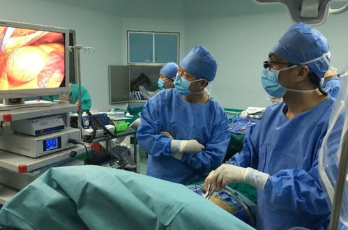 癌症病人能不能吃参茸 癌症病人能不能吃参茸