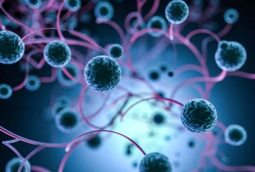 2025������֢ ������֢������