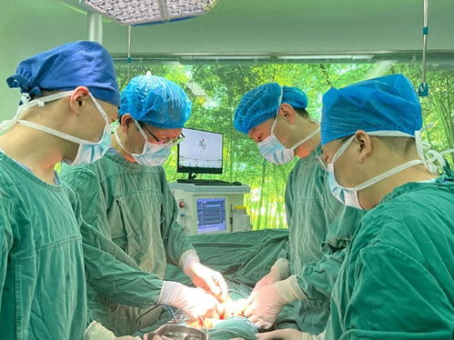 血染北沙河 血染北沙河结局 血染北沙河 血染北沙河结局