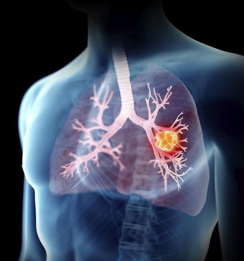 �������ְ�֢ �������ְ�֢�ܻ���