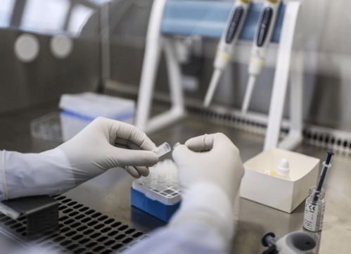 �ð�֢�����ܳ��԰׽���