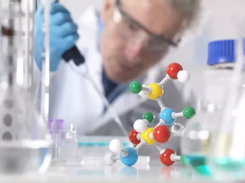 ����ָ�겻�����ǰ�֢��