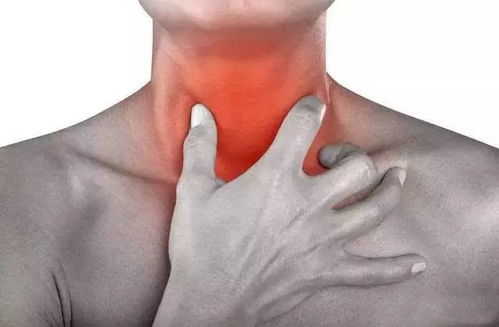 我和两个他全部演员表 我和两个他全部演员表