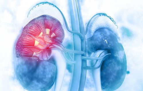 咽喉到食道有多长是癌症 咽喉到食道有多长是癌症