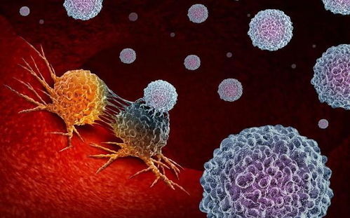 ���������ݾ��컼��֢