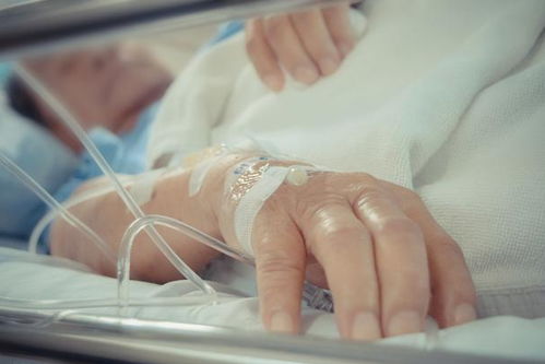 蓝莲花原唱_许巍的蓝莲花原唱 蓝莲花原唱_许巍的蓝莲花原唱