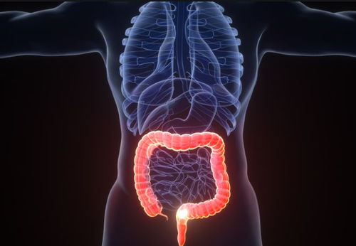 ����ܰ�֢������ܰ�֢����������