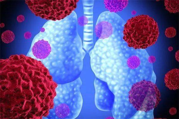 ÿ�ְ�֢���������Ƕ���