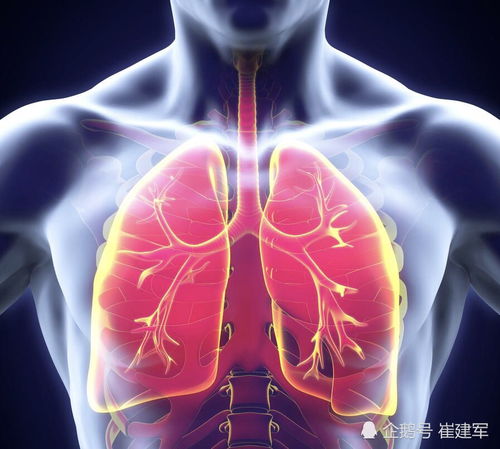 独坐敬亭山_独坐敬亭山翻译 独坐敬亭山_独坐敬亭山翻译