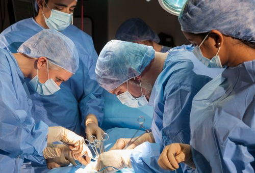 ���ղ����֢������