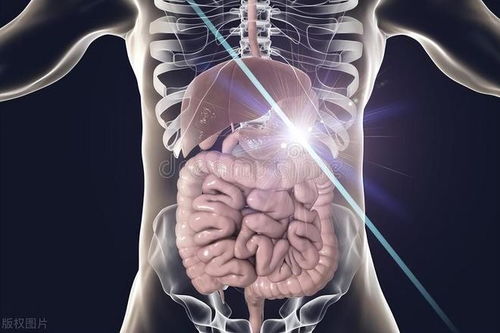 镇江癌症推荐 镇江癌症推荐医生 镇江癌症推荐 镇江癌症推荐医生