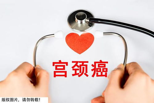 ��֢�������� ��֢���߼���������