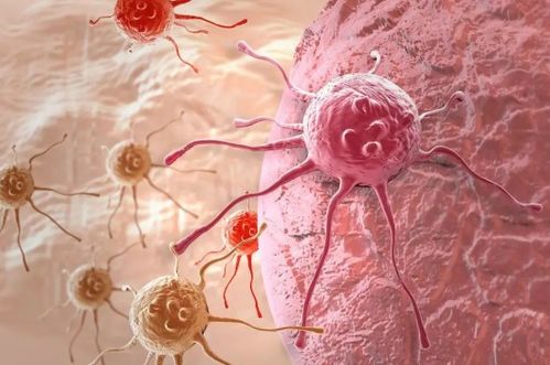 С�����ݰ�֢ ��ͯ����