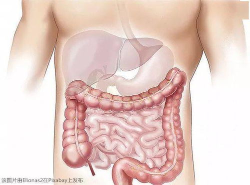 ��ô�ų�ǰ���ٰ�֢����