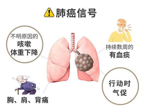 ��֢�����ܳ���Ĵ����