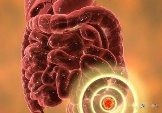 ʳ����θ������ǰ�֢��