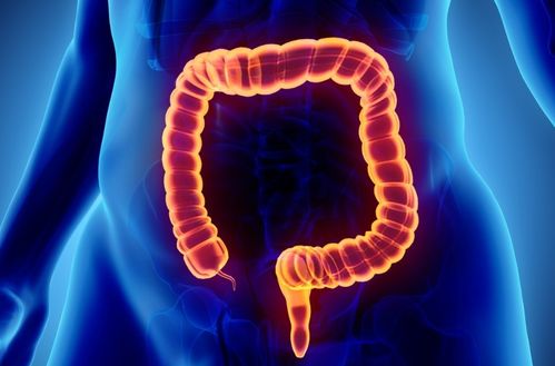 ��֢���˿���ʳˮ����