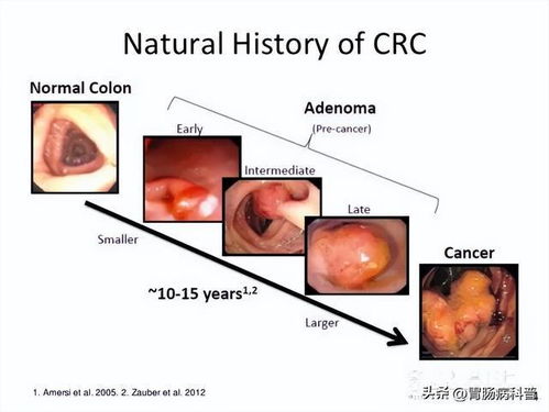 封神榜陈浩民版第四集 封神榜陈浩民版第四集