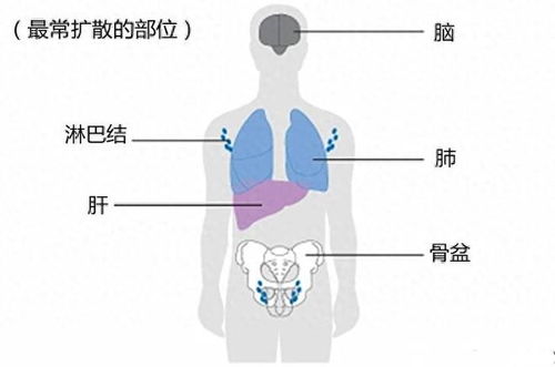 ҽûа֢ ûȷﰩ֢ҩ