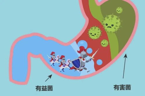 减肥癌症药_减肥药致癌新闻 减肥癌症药_减肥药致癌新闻