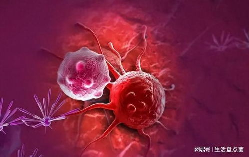 ��֢���˾���θ����ô��