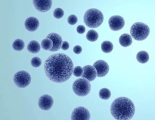 ��֢������ ��֢����������