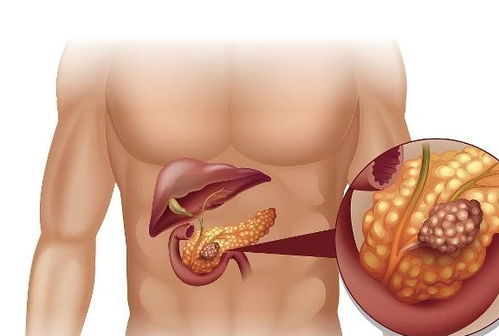 杜淳女朋友杜淳女朋友是谁熊乃瑾 杜淳女朋友杜淳女朋友是谁熊乃瑾