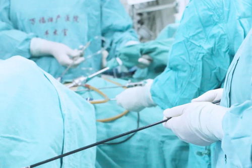 Ұ͵֢ܰ״ Ұ͵֢ܰ״һ