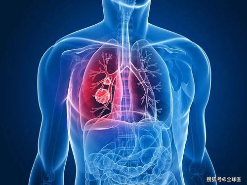 Ӣ֢Ůѧɱ Ӣһ֢߸Ⱦ¹