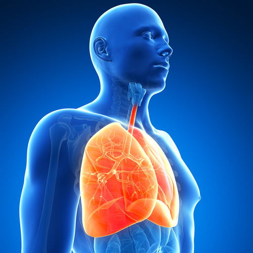 �����Ժ��ѳ���֢״(��������ѳ���)