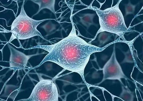 ��֢�����ܳ��ʺ�������