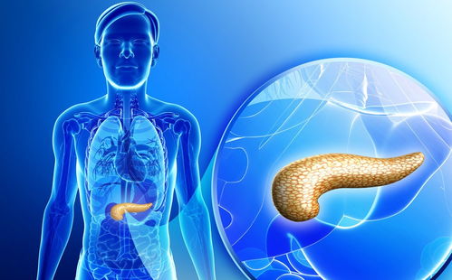 ĥ��������방֢ ĥ������ڰ�֢���ʶ��