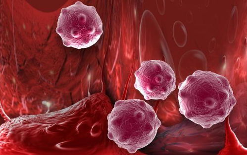 ��֢������������ϵͼ