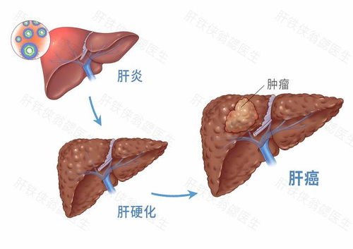 刘斌演员武汉个人资料 刘斌演员武汉个人资料