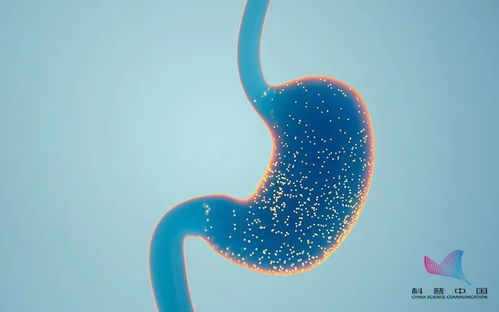 ͷ��ͷ���ǲ����԰�֢