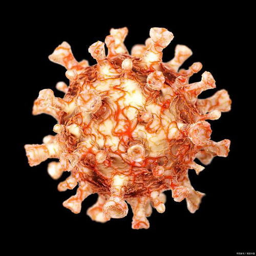 黄圣依老公的个人资料 黄圣依老公的个人资料