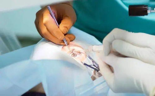 致癌症养父母的话 癌症养母为儿女寻找亲生父母 致癌症养父母的话 癌症养母为儿女寻找亲生父母