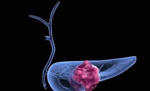 ���а�֢���� ��������ʮ��λ