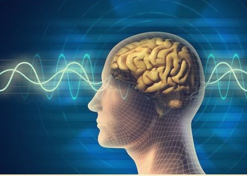 癌症晚期腹泻能吃什么粥 癌症晚期腹泻能吃什么粥