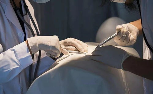 ����Ƭ�ΰ�֢������_�����ڿ������������