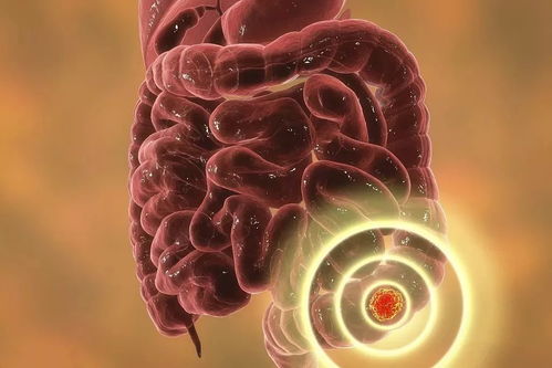 朱军案弦子 朱军案弦子录音 朱军案弦子 朱军案弦子录音