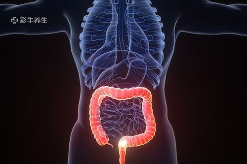 癌症发烧能打化疗针吗 癌症发烧能打化疗针吗