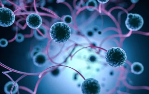 ��ɫ̥�ǰ�֢_��ɫ̥���Ǻ�ɫ������