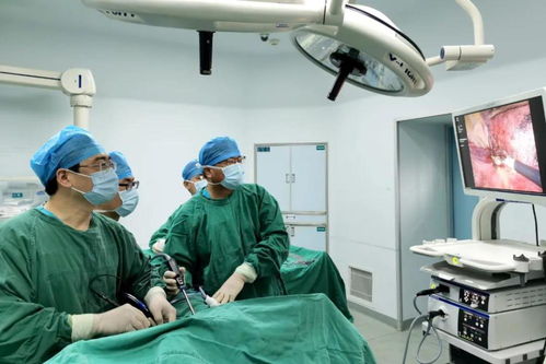 �ŰͰ�֢��ҩ_�Ű���Ч����ҩ