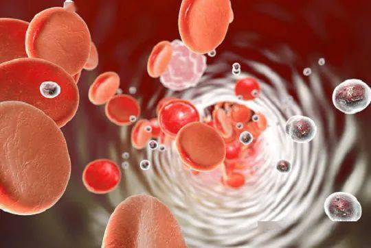 �̸����а�֢ �̸��ز�������ҽ����