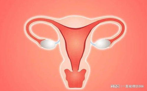 ��֢����������ô����Ѫ