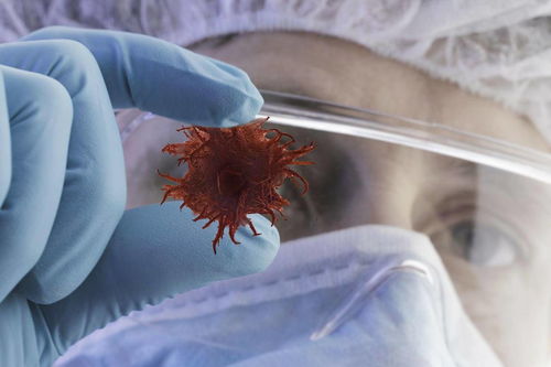 ��఩֢ʡ ��֢���ʡ��