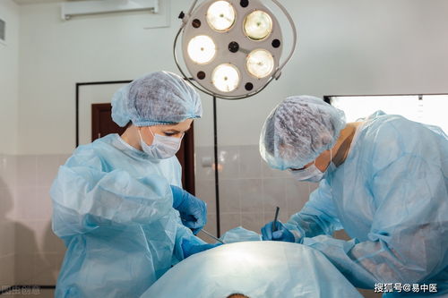 ��������7�ְ�֢ ������˰�֢���Ŵ���