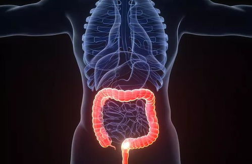 29���ĸ�׻���֢����